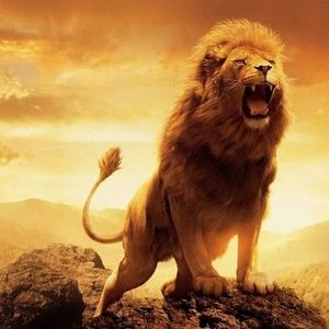 Meet your Posher, Ricky